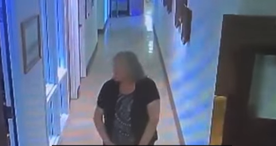 GODINAMA GLUMILA GOŠĆU NA SVADBAMA Uhapšena žena koja je krala novac i besplatno pila i jela na veseljima (VIDEO)