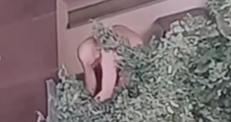 ŠOK NA ŠOK Poznato zašto je muškarac htio da baci ženu sa terase