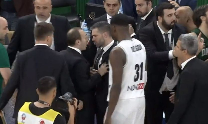 Dušan Alimpijević se zamalo potukao na utakmici (VIDEO)