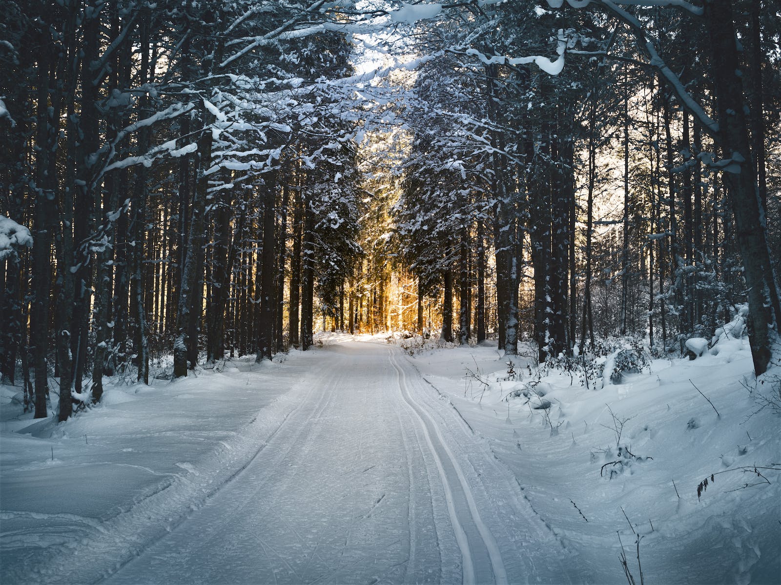 ŠTA NAS OČEKUJE? Meteorolozi RHMZ otkrili kakva bi zima mogla biti