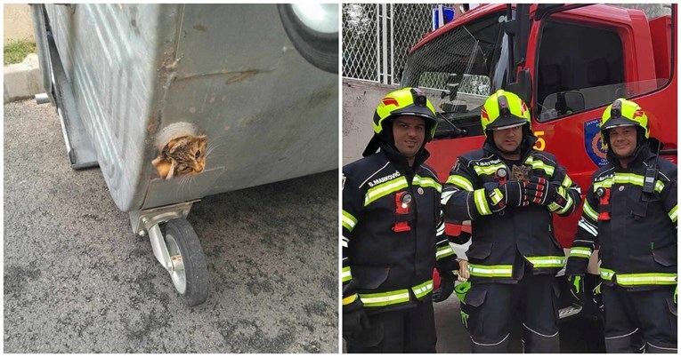 Mačić sam lutao ulicama, pa zaglavio u kontejneru: Vatrogasci spasili životinju i oduševili sve (FOTO)