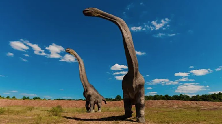 VIC DANA Kada je umro zadnji dinosaurus?