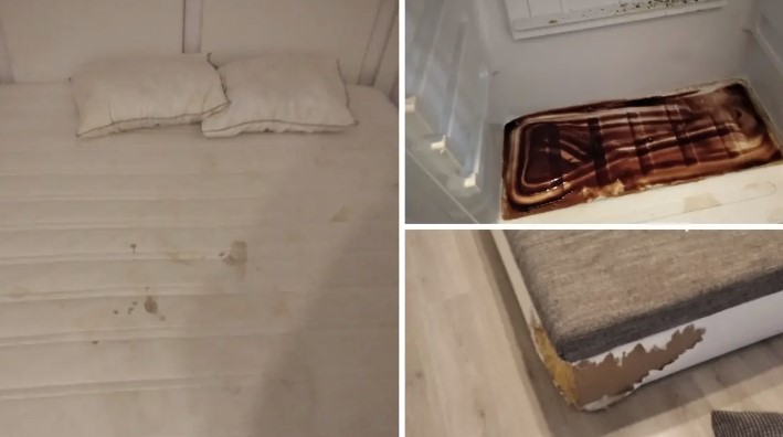 PODSTANARI IZ PAKLA Uništili stan, pobjegli glavom bez obzira pa prijetili vlasniku (FOTO)