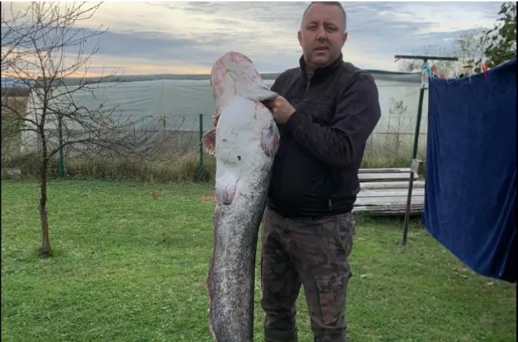 Gradiščanin ulovio soma od 25 kg, borba sa ribom grdosijom trajala oko 45 minuta