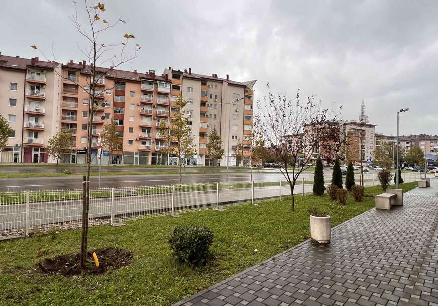 Za ljepšu i zeleniju Banjaluku: Stanari ZEV Jug Bogdana 17 poklonili gradu stabla platana