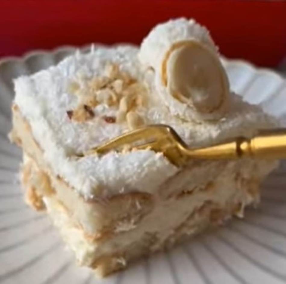 RAFAELO TIRAMISU SA KOKOSOM Lagan i kremast kolač koji se brzinski priprema