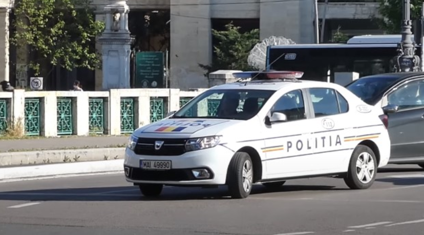 Mladić (19) lišen slobode: Brutalno ubio svog psa