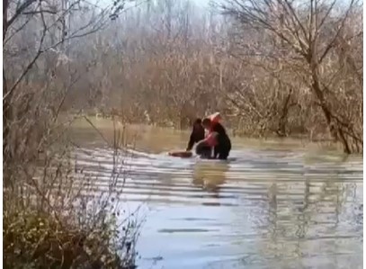 Dramatična akcija na nabujaloj Savi: Policajci spasili 21 migranta