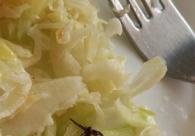 APSOLUTNO NEPRIHVATLJIVO Studenti pronašli žohara u salati