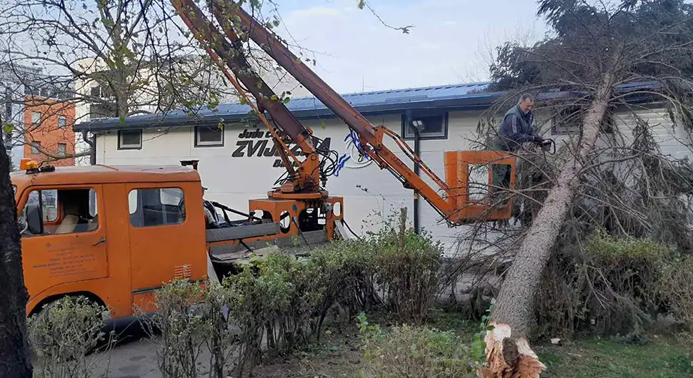 VJETAR NAPRAVIO HAOS U BANJALUCI Nadležne službe uklanjaju porušena stabla (FOTO)