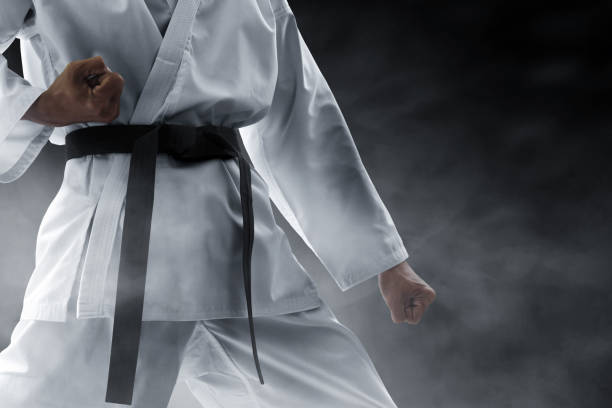 CRNI POJAS ZA 7 KARATISTA Godina puna uspjeha za karate klub Vrbas