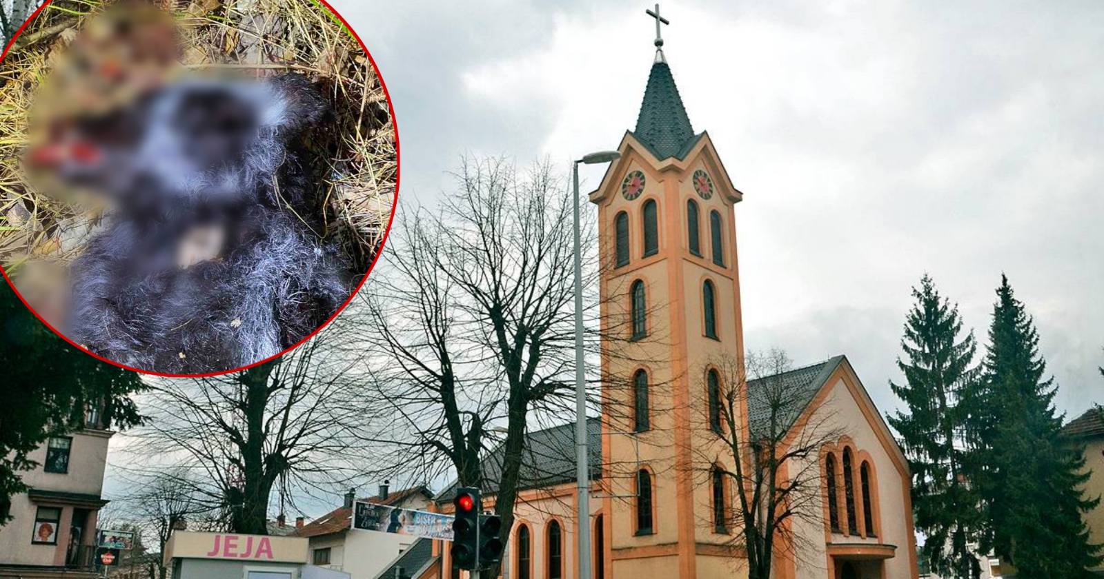 (UZNEMIRUJUĆE FOTOGRAFIJE) ZVJERSKI UBIJEN PAS U TESLIĆU Vlasnik ekskluzivno za ALOonline: Trčali smo za lovcima, govorili da stanu, ali su pobjegli. Uspjeli smo da zapišemo tablice