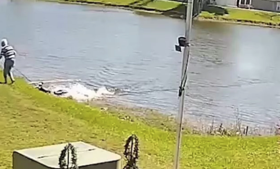 (FOTO/VIDEO) PREDATORA HRANILI I TEPALI MU KAO LJUBIMCU Baka (85) šetala psa, a onda je iz jezera iskočio aligator i pojeo je