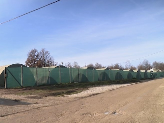 HOROR KOD BIHAĆA Migrant ubijen u tuči u kampu "Lipa"