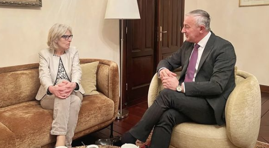 (FOTO) "AUSTRIJA JE PRIJATELJSKA ZEMLJA" Borenović sa ambasadorkom Hartman razgovarao o bitnim evropskim pitanjima