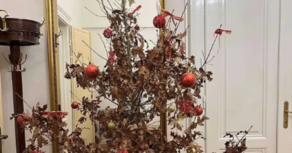 ISPOŠTOVANA TRADICIJA Unesen Badnjak u kabinet srpskog člana Predsjedništva (FOTO)