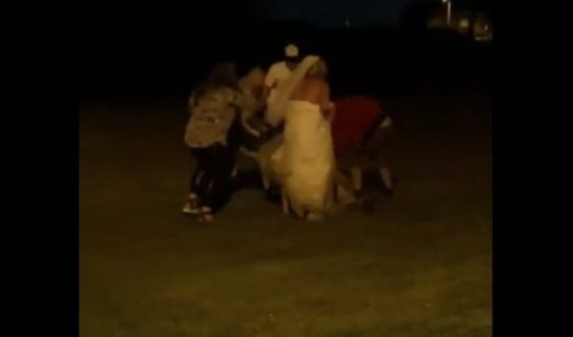 (VIDEO) TUČA NA VJENČANJU Bijesna mlada nasrnula na mladoženju, gosti nisu mogli da je obuzdaju