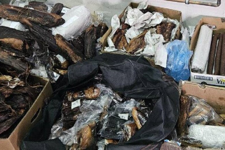POŠAO U NJEMAČKU SA "ROBOM" Carinici našli 200 kg neprijavljenog suvog mesa u kombiju