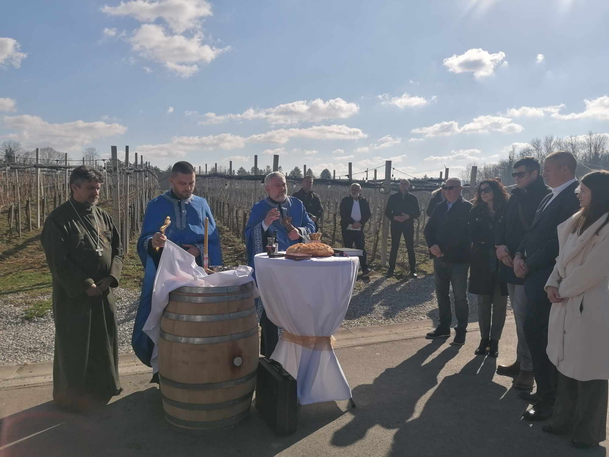 (FOTO/VIDEO) SVETI TRIFUN NAJAVIO PLODNU GODINU AloOnline u čuvenom vinogradu, tradicija ispoštovana: Ko reže, taj i bere!