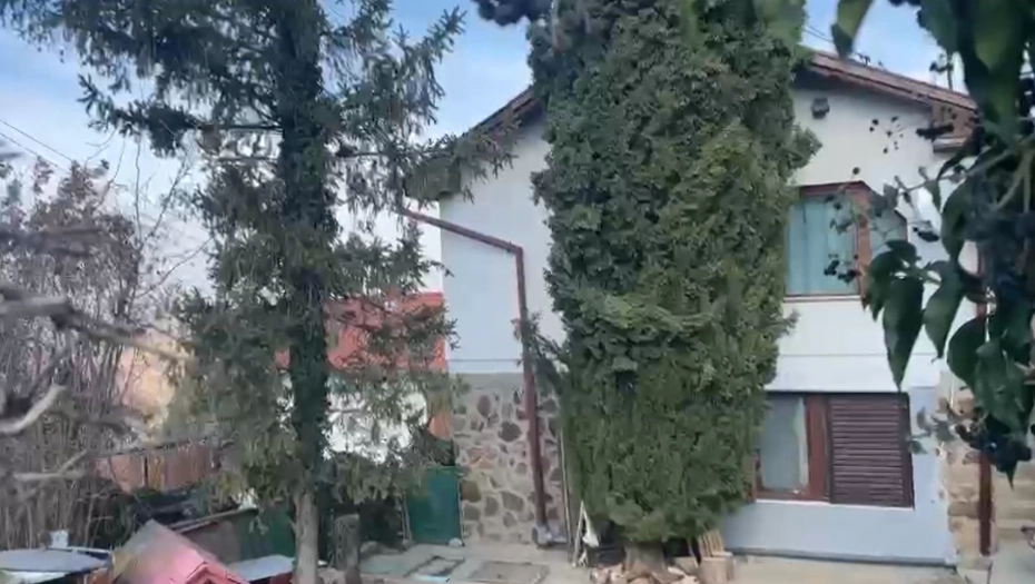 PAS ISTRČAO IZ KUĆE SA KRVAVOM NJUŠKOM Komšije otkrile nove detalje svirepog ubistva majke i kćerke