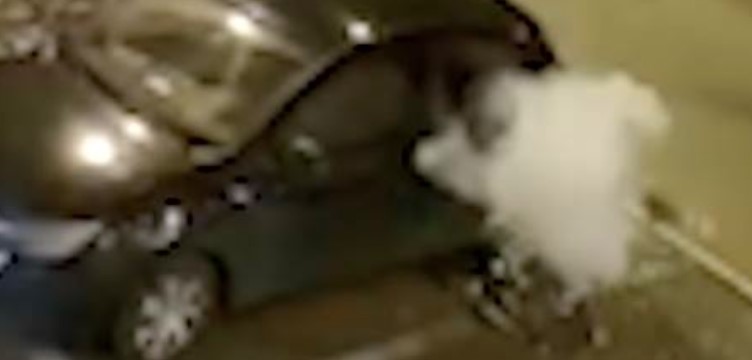 (VIDEO) POGOĐEN CIVILNI AUTOMOBIL U BANJALUCI Incident prilikom nenajavljene vježbe SAJ-a