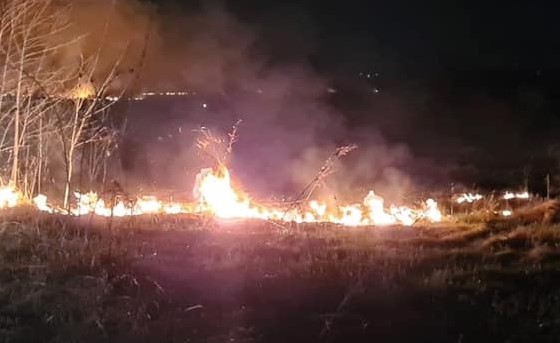 POŽAR KOD TUZLE GASI 100 LJUDI Vatra zahvatila 30 hektara borove šume