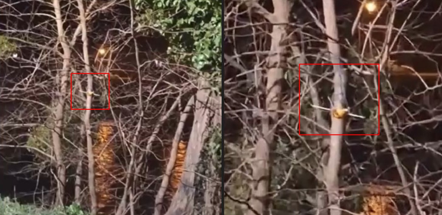 (VIDEO) MISTERIOZNI PREDMET NA DRVETU POKRAJ VRBASA Banjalučani sumnjaju da se magijski rituali odvijaju u gradu: Nikada nisam vidio takvo nešto