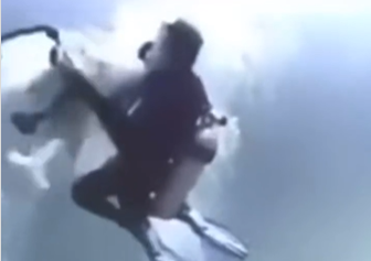 (VIDEO) "ZABAVNO" RONJENJE SA AJKULAMA NA MALDIVIMA Predator napao turiste, jedna greška mogla da ih košta života