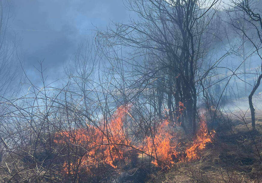 VATROGASCI IMAJU PUNE RUKE POSLA Građani iskoristili lijepo vrijeme za paljenje korova na njivama
