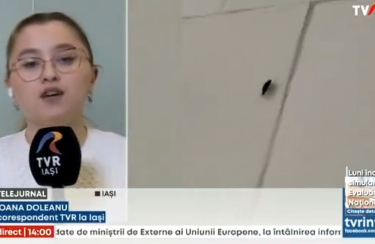 (VIDEO) SVUDA HODAJU BUBAŠVABE Novi skandal potresa bolnicu u kojoj je umrla mlada trudnica Aleksandra