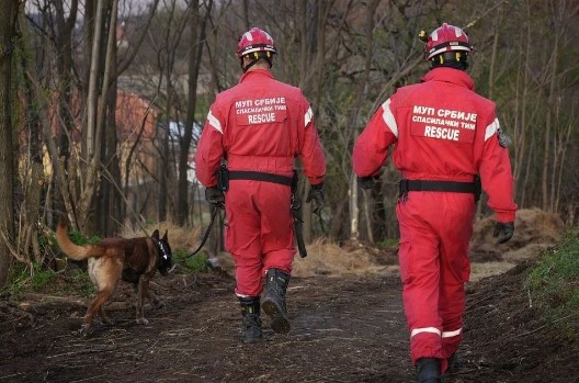 (FOTO) PAS ZIGI STIGAO U BOR Pomagao u Turskoj, a sad će tražiti malu Danku