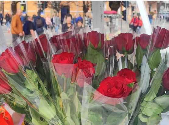 MEĐUNARODNI DAN ŽENA - Srećan 8. mart!
