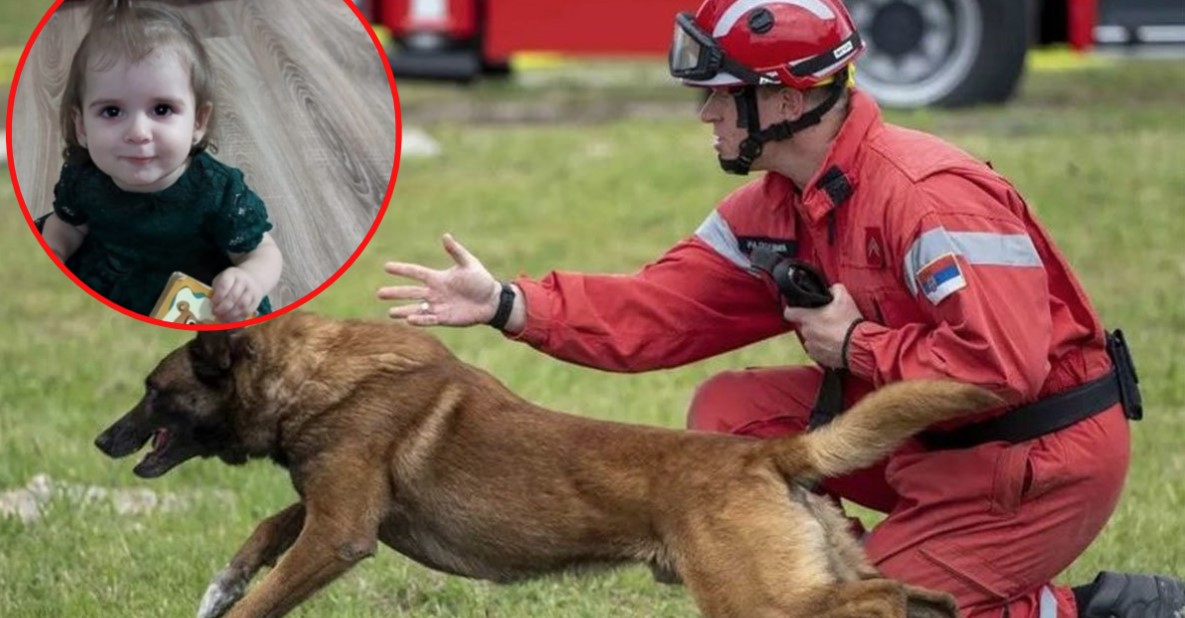 PAS ZIGI KREĆE VEČERAS U POTRAGU ZA DANKOM (2) Pomagao u Turskoj, a sada ide put Bora