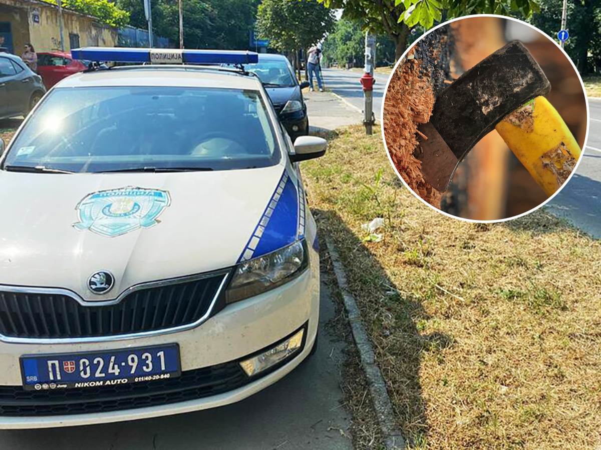 "IMAO JE ČUDAN POGLED, NIJE MNOGO PRIČAO" Dječak (13) koji je sjekirom ubio jaganjce rekao kako se "samo igrao": Komšinica otkrila jezive detalje