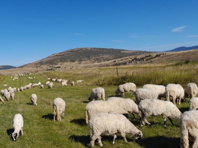 PUSTO I BEZ GRAJE U ŠUMNJACIMA U glamočkom selu živi samo 33 Srba, a nekada ih bilo 300