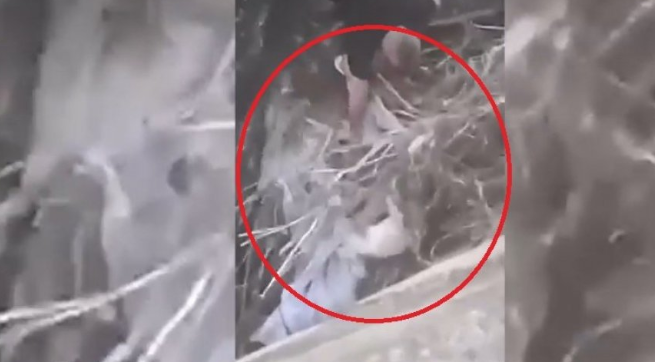 (VIDEO) HUMANOST NA DJELU U BERANAMA Spasio psa iz nabujalog Lima