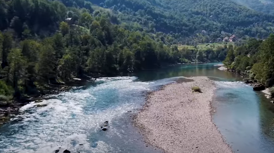 (FOTO) POLAŽE 10.000 JAJA ODJEDNOM Riječno "čudovište" koje može da dostigne težinu do 120 kilograma: Stručnjaci izdali upozorenje