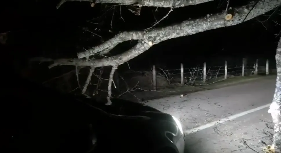 OBORENO STABLO Jako nevrijeme napravilo problem vozačima na putu Foča-Gacko