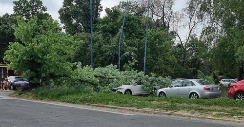 STABLO PALO NA AUTO Nevrijeme stiglo u Hrvatsku