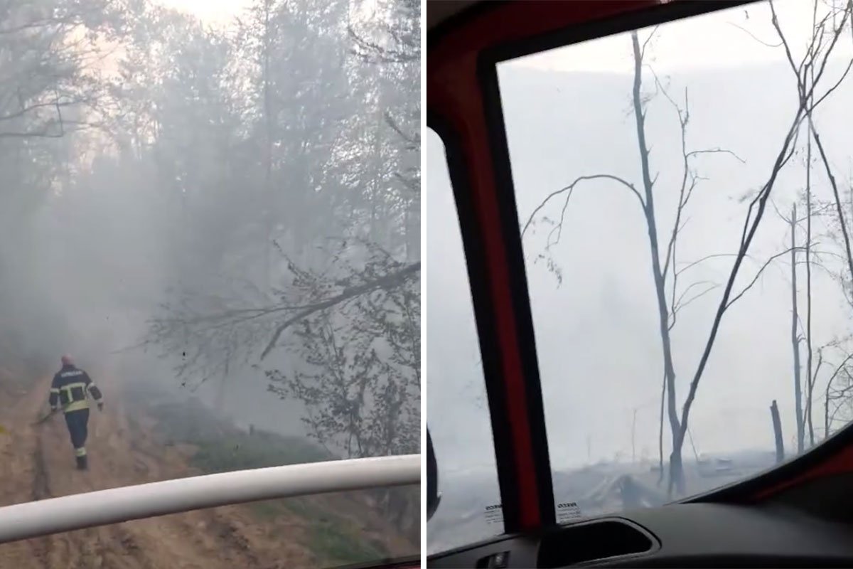 (VIDEO) VELIKI ŠUMSKI POŽAR KOD KOTOR VAROŠA Jak vjetar otežava posao vatrogascima