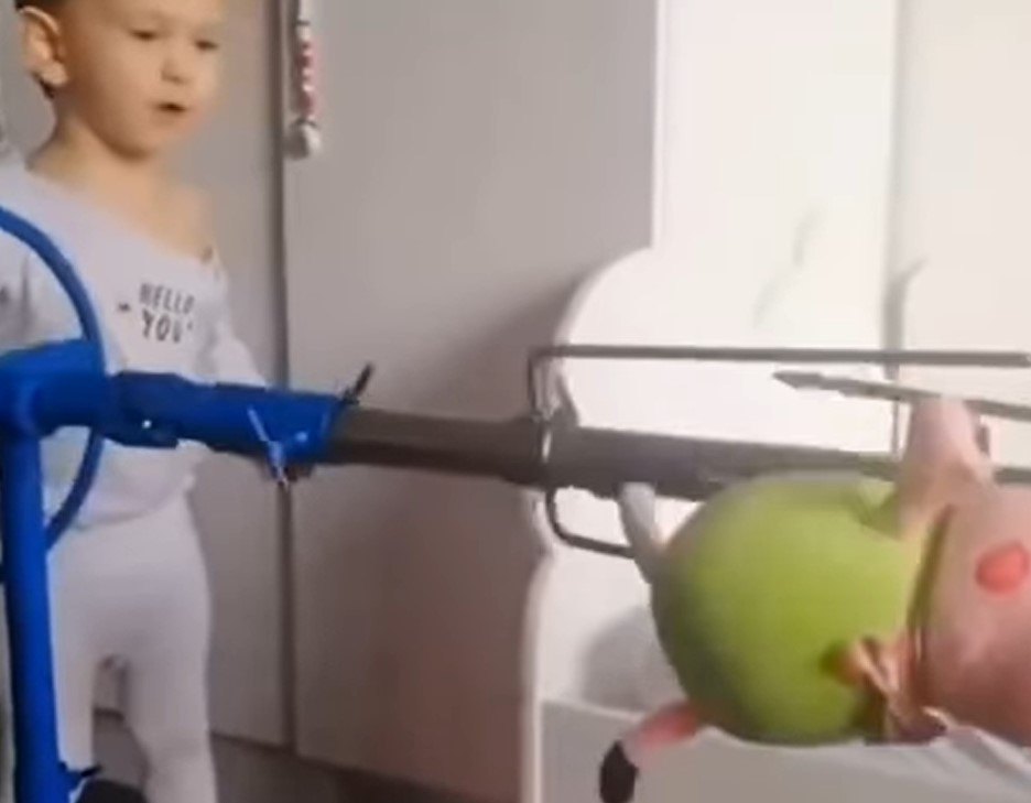 (VIDEO) "KAD PROVEDEŠ LJETO KOD BABE I DEDE NA SELU" Mališan "okrenuo" prase, pa nasmijao sve