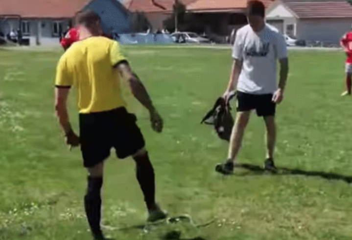 (VIDEO) NEVJEROVATNA SITUACIJA Zmija ugrizla sudiju na utakmici u Srbiji