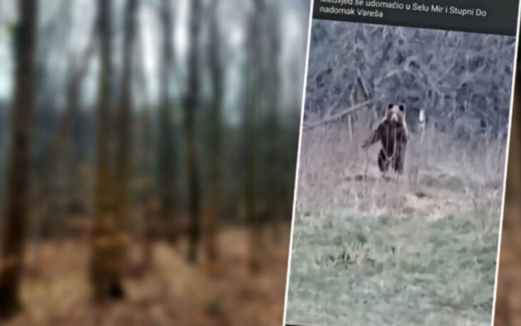 (VIDEO) NEVJEROVATNO! "AJDE RUČAJ, MEDO" Čovjek iz sela u BiH sprijateljio se s medvjedom