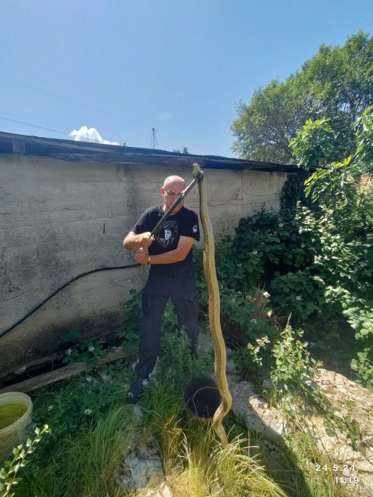 "ŠEST PUTA MI JE POBJEGLA" Mišo Pamučina uhvatio zmiju dužu od dva metra