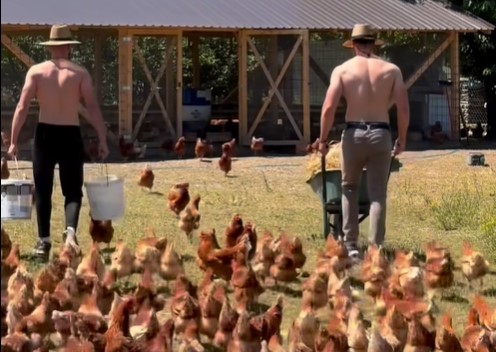 (VIDEO) FARMERI IZ BIJELJINE ZAPALILI MREŽE Roba "planula" čim je objavljena reklama: Svi bi da probaju njihova jaja