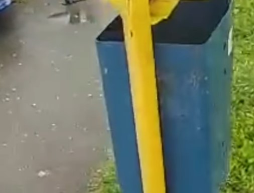 "DIJETE BILO KRVAVO I UMOTANO U MARAMU" Dječak koji je pronašao bebu u kanti za smeće otkrio jezive detalje