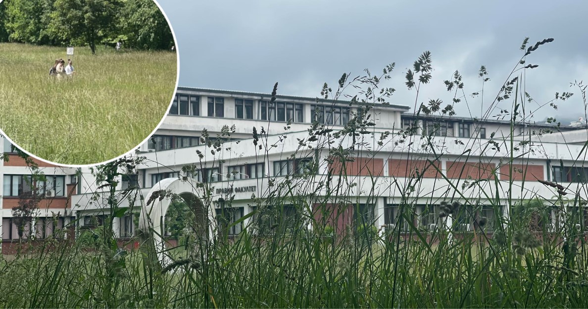 IZMJERILI SMO: TRAVA VEĆA OD METRA! „Dođe mi do struka, čekam samo da neka zvijer iskoči“ Zapuštene zelene površine pored banjalučkih fakulteta bodu oči: Građani zabrinuti zbog najezde zmija