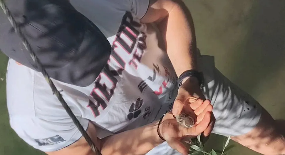 "VRAĆAMO GA JER GA MAMA ČEKA" Banjalučani spasili vrapčića iz Vrbasa