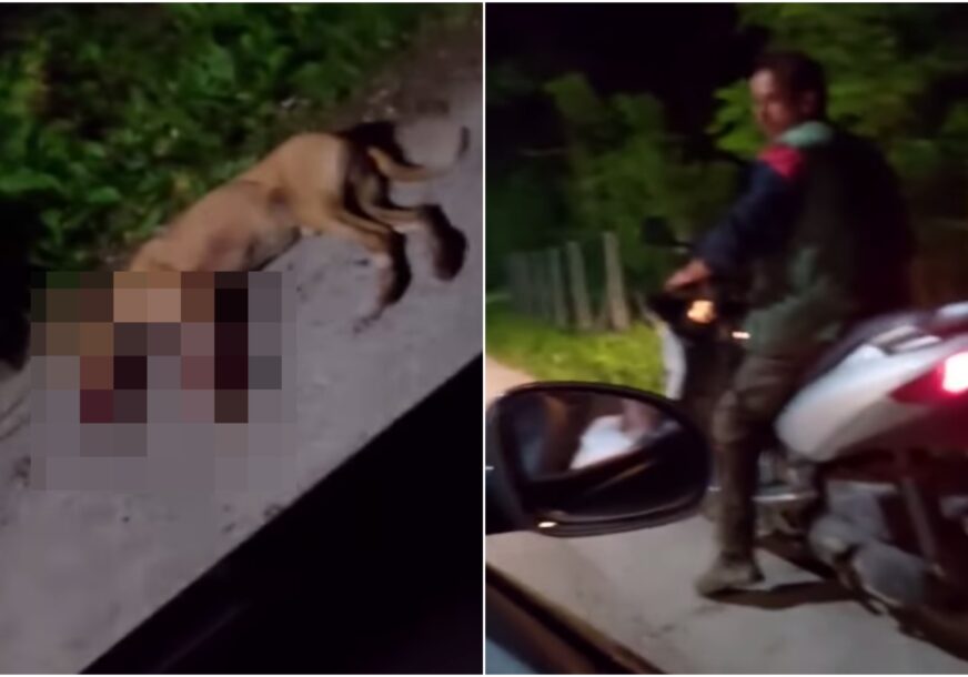 (UZNEMIRUJUĆI VIDEO) MONSTRUOZNO UBISTVO U ZVORNIKU Zakačio psa za skuter i vukao ga dok životinja nije uginula