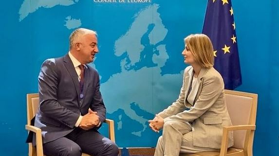 (FOTO) "ZAJEDNIČKIM SNAGAMA PROTIV JOŠ JEDNE NEPRAVDE" Borenović razgovarao sa šeficom Delegacije Srbije u Savjetu Evrope
